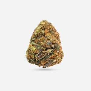 Black Tuna – Hybrid