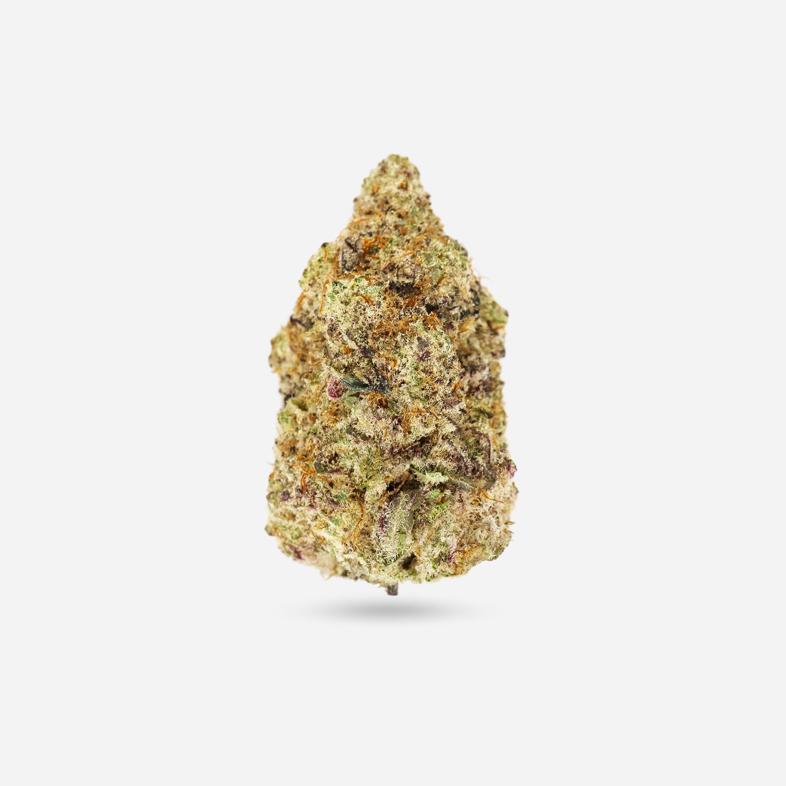 Purple Jolly Rancher – Indica