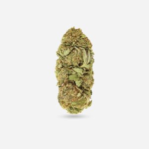 Goji OG – Sativa