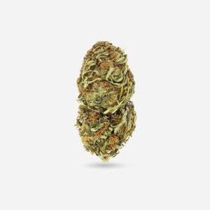 Jungle Kush – Indica