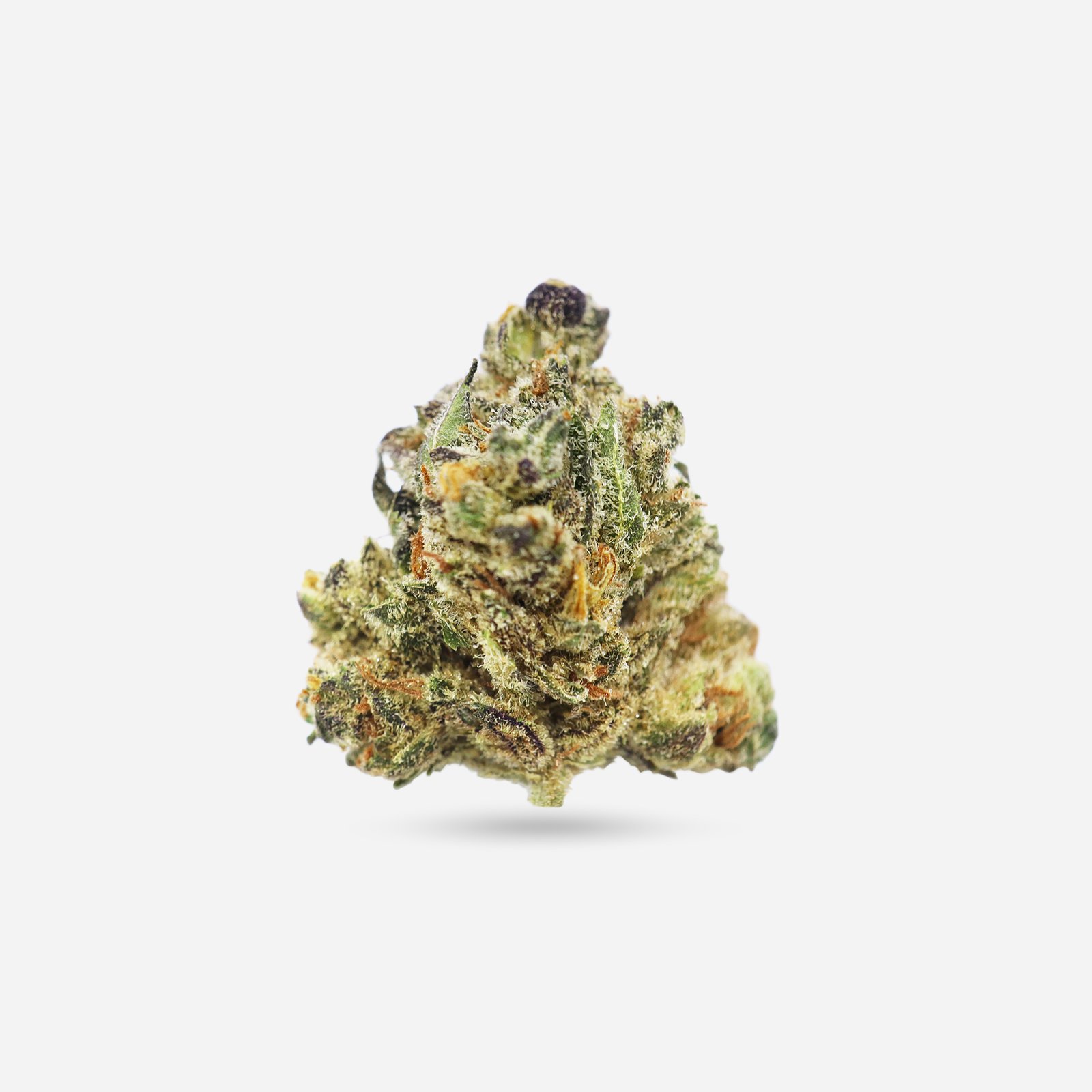 Cotton Candy Kush – Hybrid