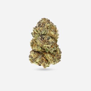 Pink Lemonade Gelato – Sativa