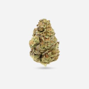 Shoreline – Indica