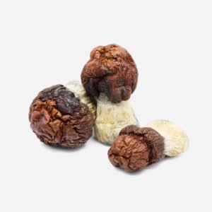 Bluey Vuitton Magic Mushrooms