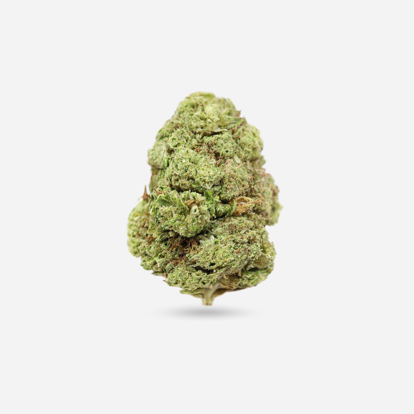 Cherry Bomb – Hybrid