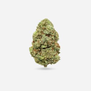 Jack Herer – Sativa