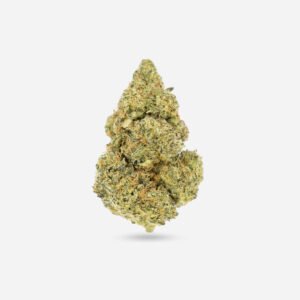 Mimosa – Sativa