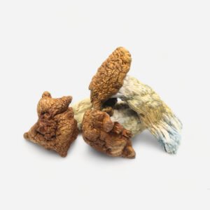 King Kong Magic Mushrooms