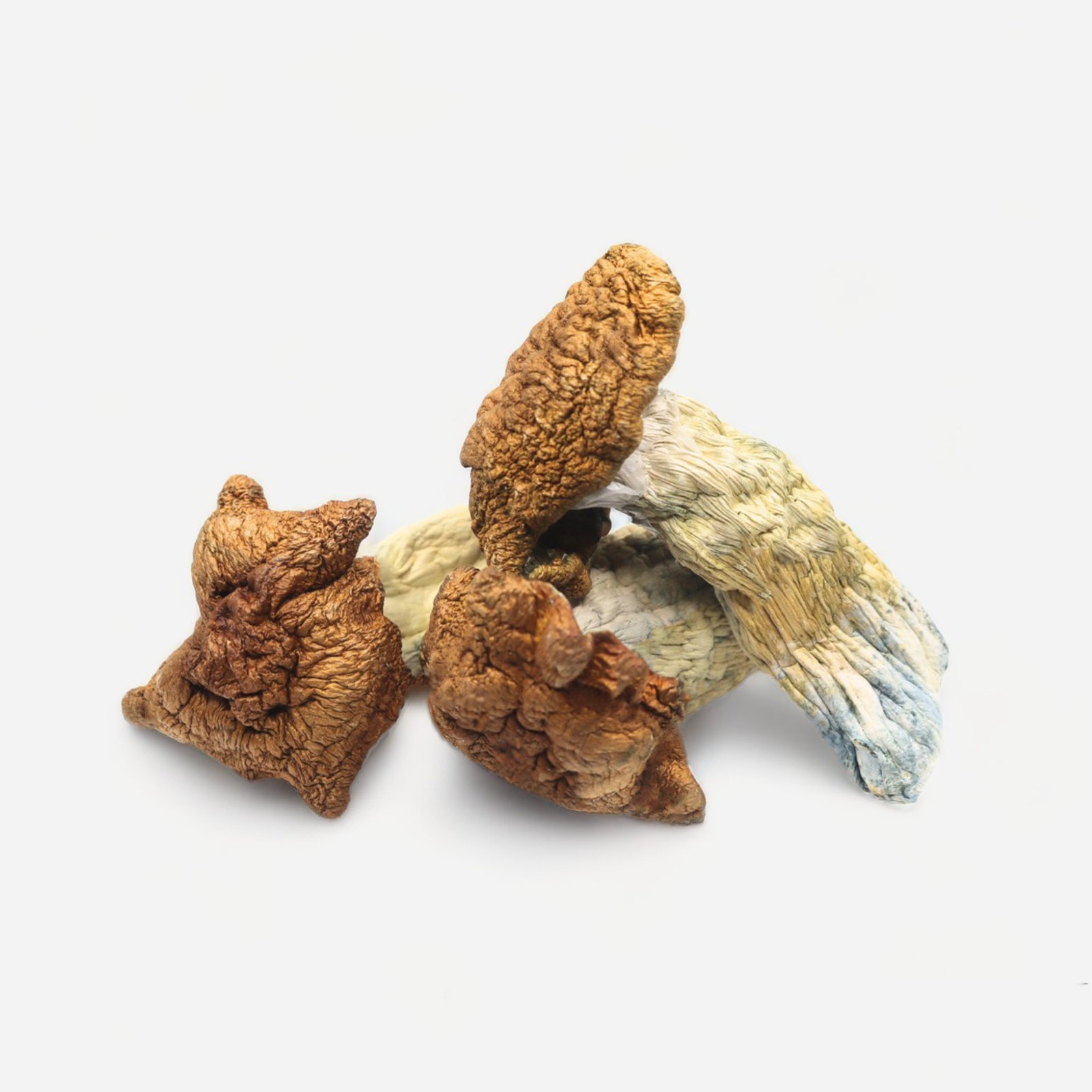 King Kong Magic Mushrooms