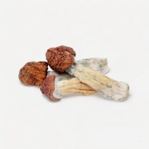 Tidal Wave Magic Mushrooms